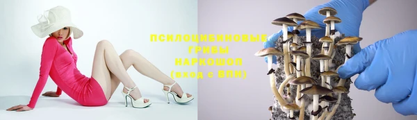 гидропоника Аркадак