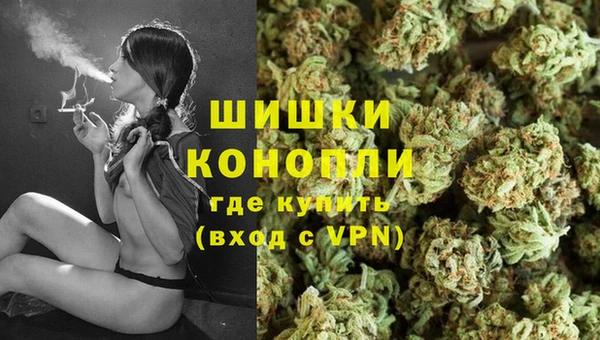 ПСИЛОЦИБИНОВЫЕ ГРИБЫ Балабаново