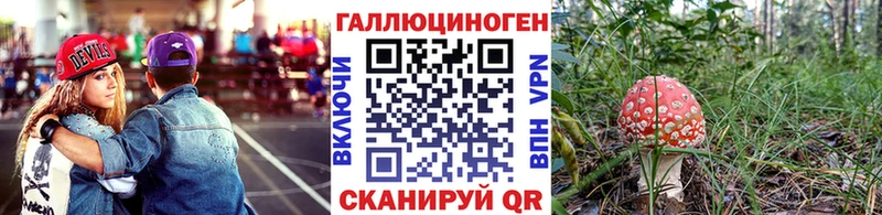блэк спрут как войти  Дорогобуж  Псилоцибиновые грибы ЛСД 
