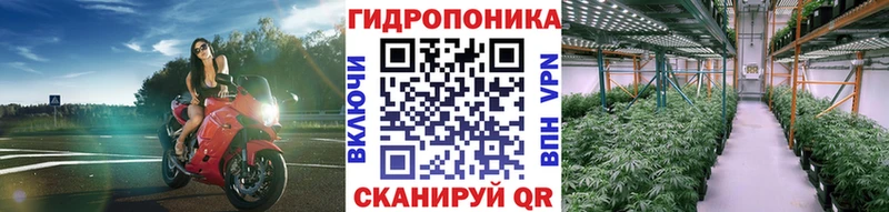 МАРИХУАНА LSD WEED  Дорогобуж 